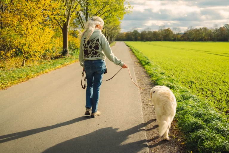 Hund und Mensch verbunden durch die Leine